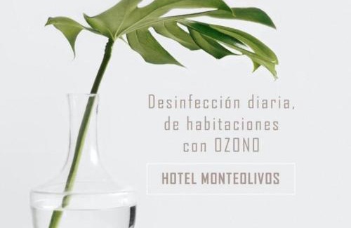 Huerta de Santa Teresa Hotel | AACR Hotel Monteolivos