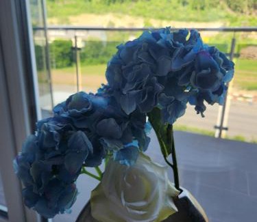 Diegten Apartment | Aaki Apartment Diegten