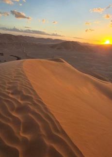 Dhofar Governorate Other | AArabian Sand Camp Empty Quater Salalah Oman