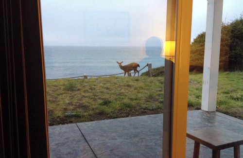 Shelter Cove Condo | Abalone by OceanviewHotTubs Shelter Cove Oceanfront Tesla Charging