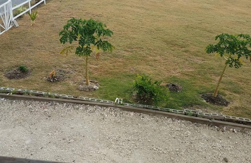 Ocean City House | ABBE DYNASTY: Ocean View Holiday Home