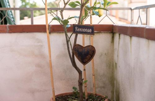 Terricciola House | Accasamia Terricciola