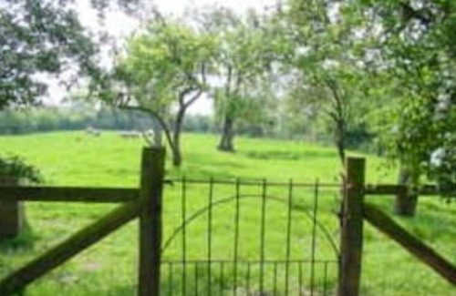 Scawton Other | Accessible Cottages In Farm Setting - Swallow cottage