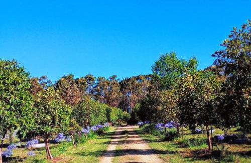 Williamstown Bed & Breakfast | Accessible, Inclusive studio, Barossa Valley SA - It's Bonza at Mill About Vineyard