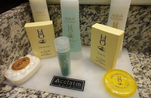 Calgary Hotel | Acclaim Hotel By CLIQUE