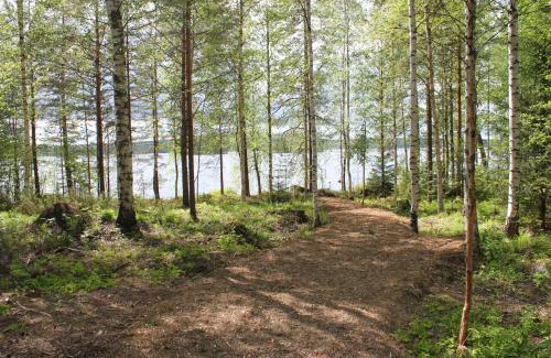 Aanekoski House | Accommodation and Fishing Vonkale