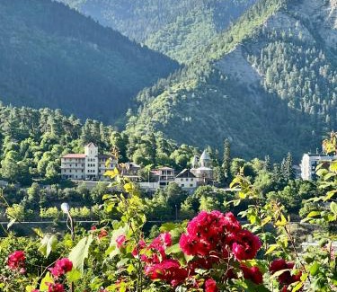 Borjomi House | Achela's Guesthouse