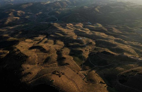 Vila Flor Ski Chalet | Acushla Golden House Douro