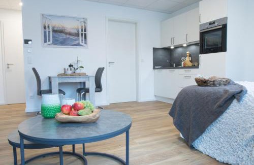 Marktheidenfeld Apartment | AD1716 Apartments