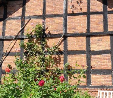 Hilgermissen House | Adelheidshof
