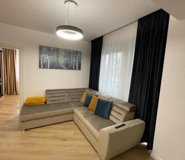 Gura Humorului Apartment | Adina Apartament