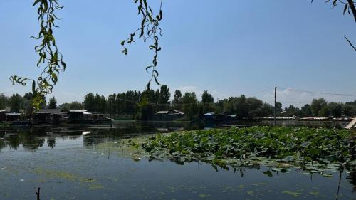 Srinagar Apartment | Adnan home stay