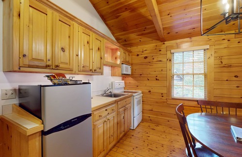 Northport Cabin | Adventure starts here in this dog-friendly cabin with kitchen, firepit & trails