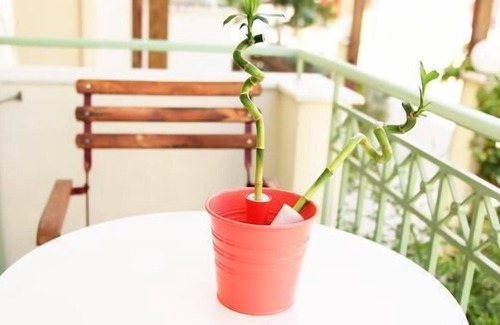 Panagiouda Apartment | Aella Studios