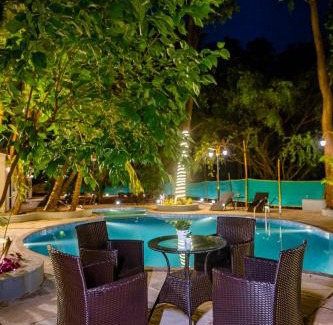 Nargol Hotel | Aeraki palms