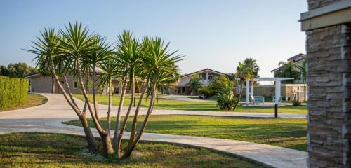 Ricadi Bed & Breakfast | Agave Blu