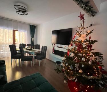 Predeal Apartment | Agi’s Apartment Predeal