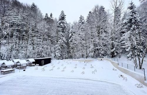 Predeal Apartment | Agi’s Apartment Predeal