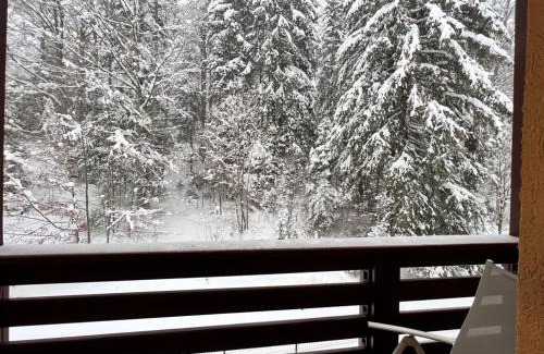 Predeal Apartment | Agi’s Apartment Predeal