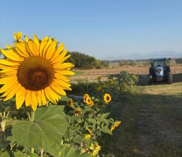 Albanella House | Agri Charme Tenuta Picilli