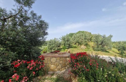 Guardistallo Apartment | Agriturismo Ai Massi