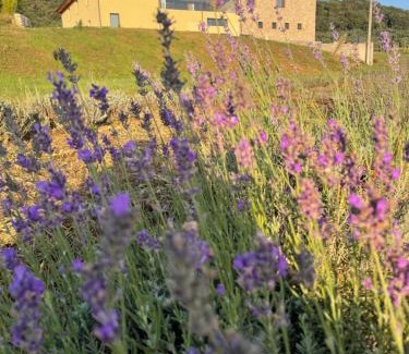 Lonato del Garda House | Agriturismo Al Mancino
