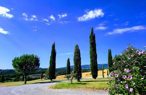 Chianciano Terme House | Agriturismo Casa Rossa