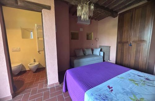 Castagneto Carducci House | Agriturismo Colle Donatucci