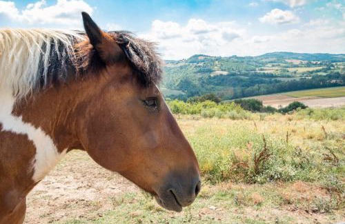 Montelovesco House | Agriturismo Goccia di Luna