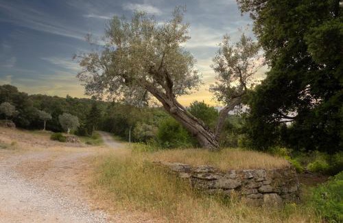 Volterra House | Agriturismo IL Paradiso di Berignone