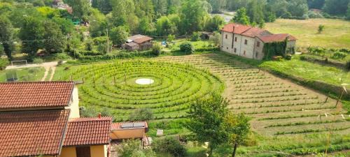 Licciana Nardi House | agriturismo il poderetto