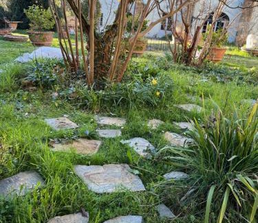 Castiglion Fiorentino House | Agriturismo Villa La Fontina