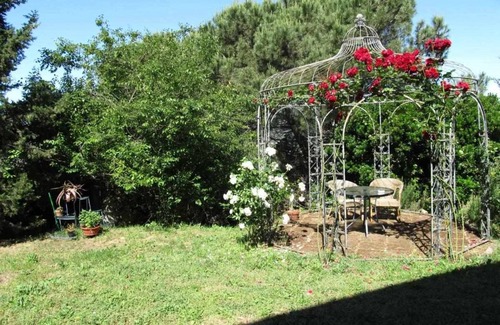 San Giuliano Terme Apartment | Agriturismo La Grotta - Grapefruit Apartment