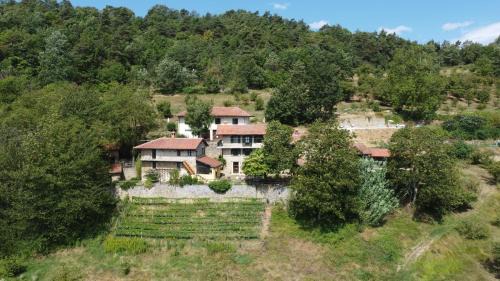 Cravanzana Bed & Breakfast | Agriturismo La Collina degli Scoiattoli