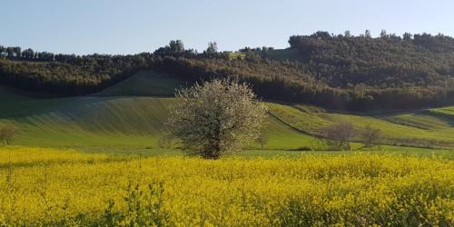Crotone House | Agriturismo la Mandragola Relais