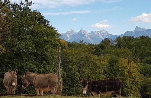 Masero House | Agriturismo La Selva