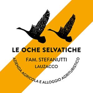 Pavia di Udine House | Agriturismo Le oche selvatiche