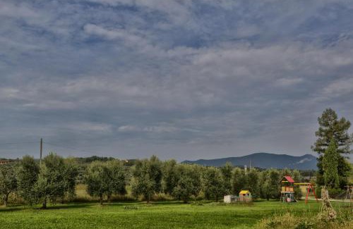 Crociale House | Agriturismo le Orchidee di Corazza