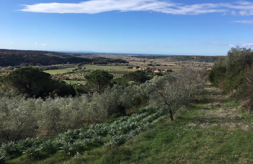 Riparbella Other | Agriturismo Le Serre