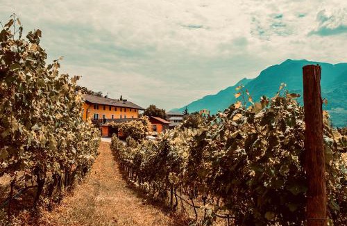 Martignano House | Agriturismo Mas dei Chini