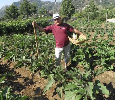 Santa Lucia del Mela House | Agriturismo Parra