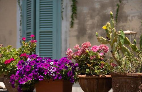 Carlentini House | Agriturismo Pietre di Gelo