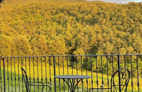 Rufina Bed & Breakfast | Agriturismo Podere Querceto