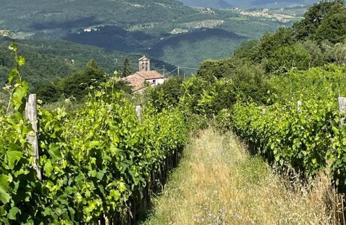 Rufina Bed & Breakfast | Agriturismo Podere Querceto