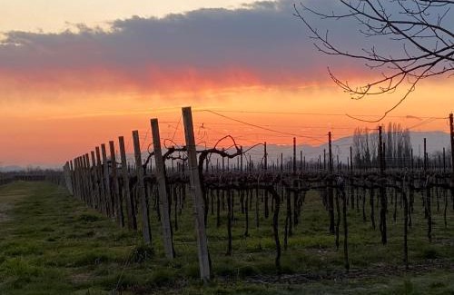 Gaiarine House | Agriturismo Richeton