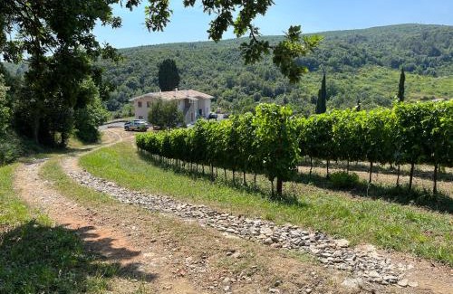 Rosignano Marittimo House | Agriturismo Tenuta il Molino