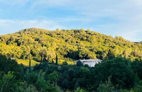 Rosignano Marittimo House | Agriturismo Tenuta il Molino