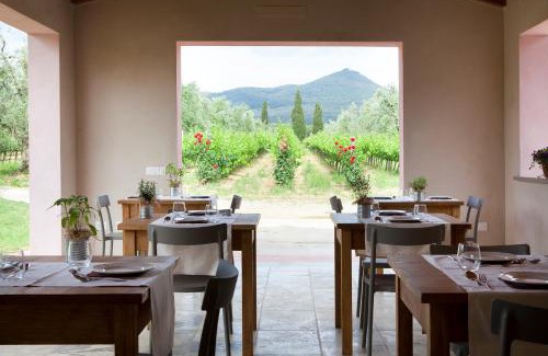 Castagneto Carducci House | Agriturismo Tra gli Ulivi, Chiappini Winery