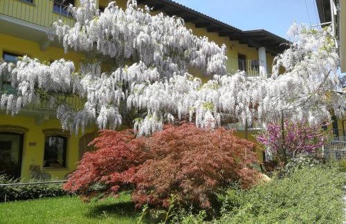 Roppolo House | Agriturismo Tra Serra E Lago