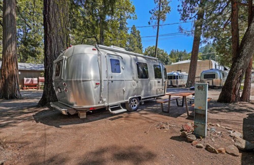 Dunsmuir Apartment | Airstream - (Cherry)